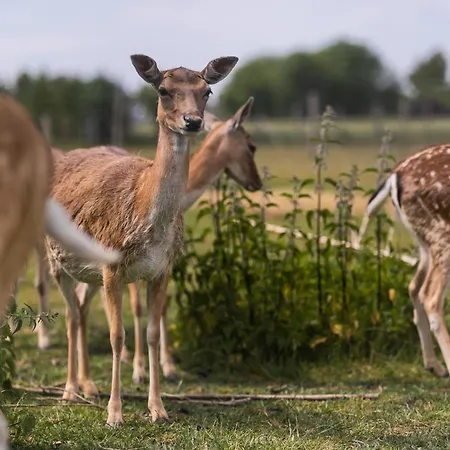 Nordowi Dwor Frühstückspension